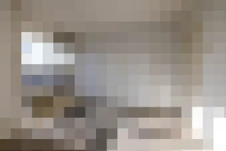 Willem van Boelrestraat 113 Rotterdam thumbnail 17