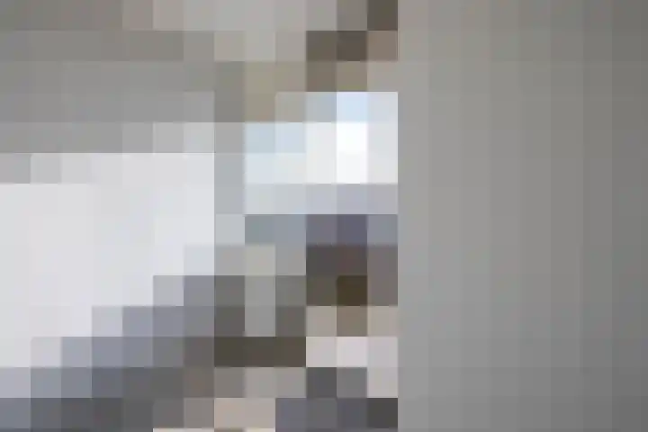 Willem van Boelrestraat 113 Rotterdam thumbnail 22