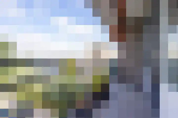 Willem van Boelrestraat 179 Rotterdam thumbnail 12