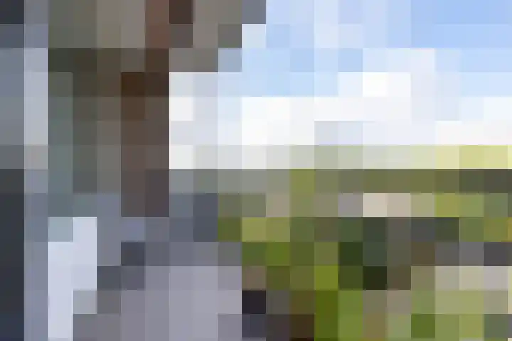Willem van Boelrestraat 179 Rotterdam thumbnail 13