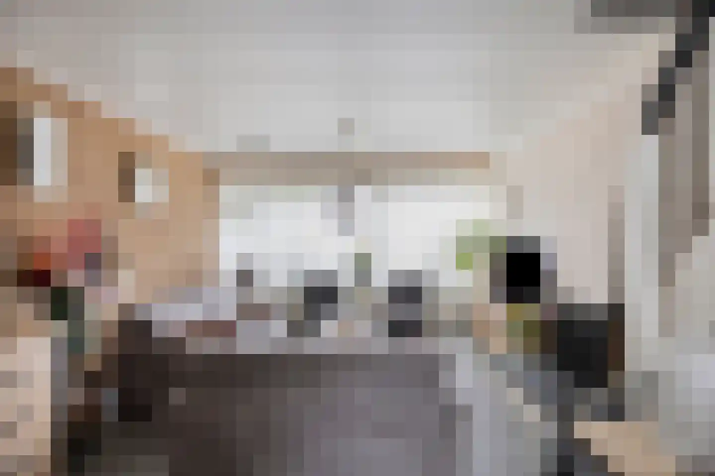 Willem van Boelrestraat 3 Breda thumbnail 5