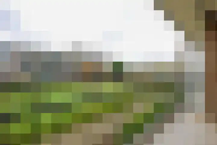 Willem van Boelrestraat 77 Rotterdam thumbnail 5