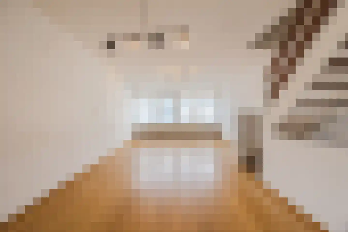 Willem van Boelrestraat 9 Breda thumbnail 23