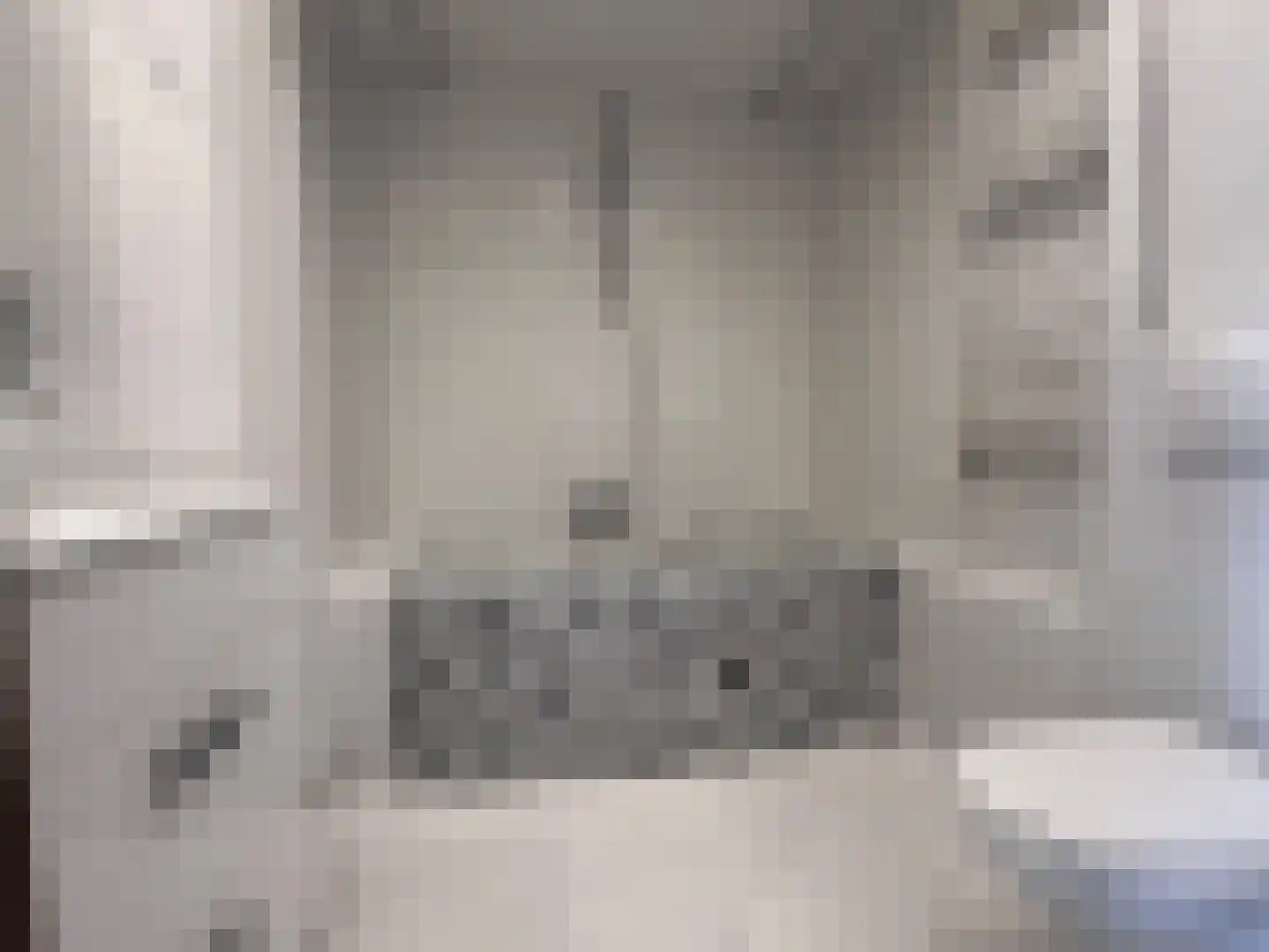 Willem van Boelrestraat 9 Breda thumbnail 37