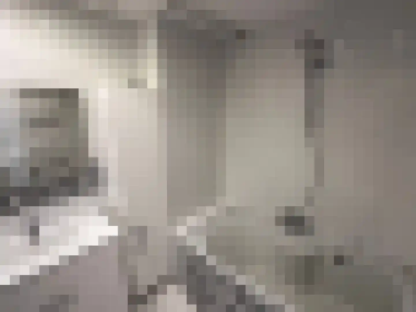 Willem van Boelrestraat 9 Breda thumbnail 38