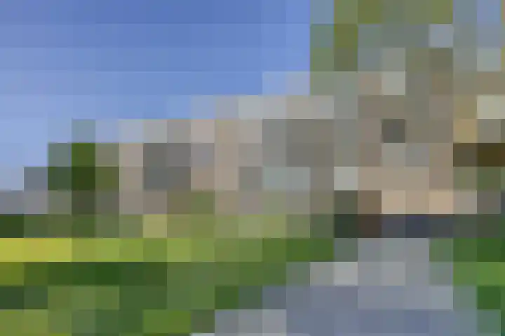 Willem van Boelrestraat 9 Rotterdam thumbnail 21