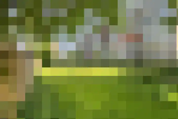 Willem van Boelrestraat 9 Rotterdam thumbnail 22