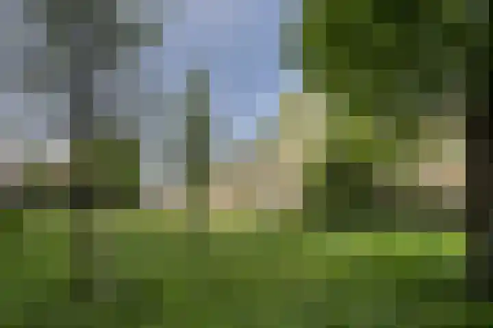 Willem van Boelrestraat 9 Rotterdam thumbnail 23