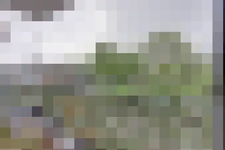 Willem van Boelrestraat 9 Rotterdam thumbnail 5