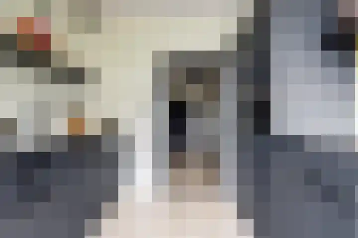 Willem van Boelrestraat 9 Rotterdam thumbnail 6