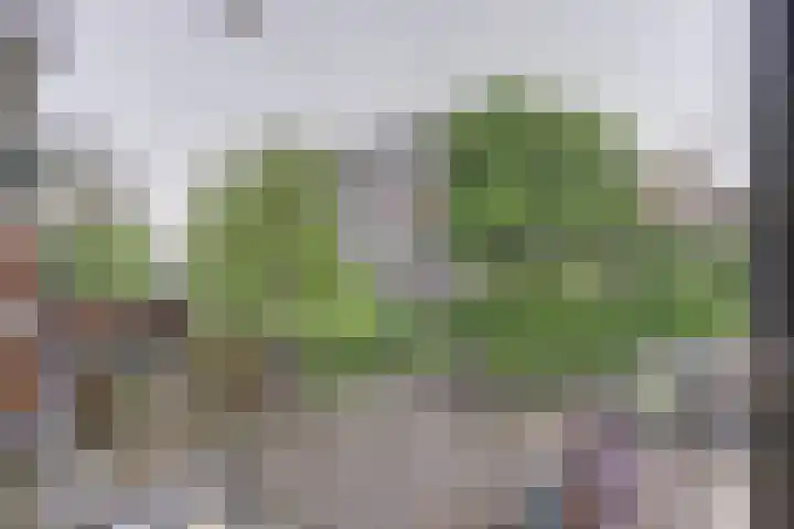 Willem van Boelrestraat 9 Rotterdam thumbnail 9