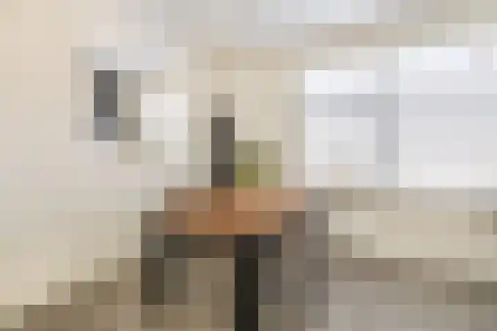 Willem van Bommelstraat 3 Venlo thumbnail 10