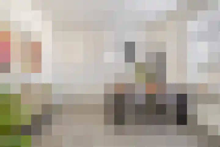 Willem van Bommelstraat 3 Venlo thumbnail 11