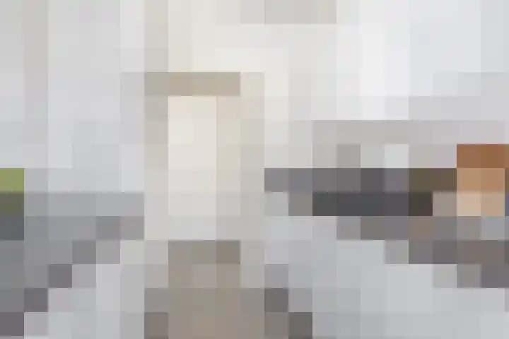 Willem van Bommelstraat 3 Venlo thumbnail 13