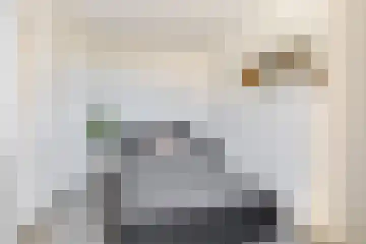 Willem van Bommelstraat 3 Venlo thumbnail 17