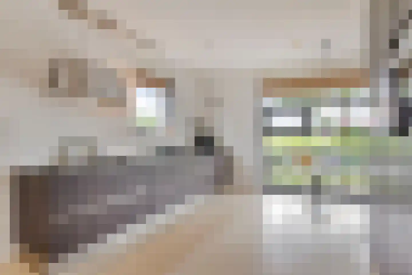 Willem van de Laarhof 13 Nuenen thumbnail 10