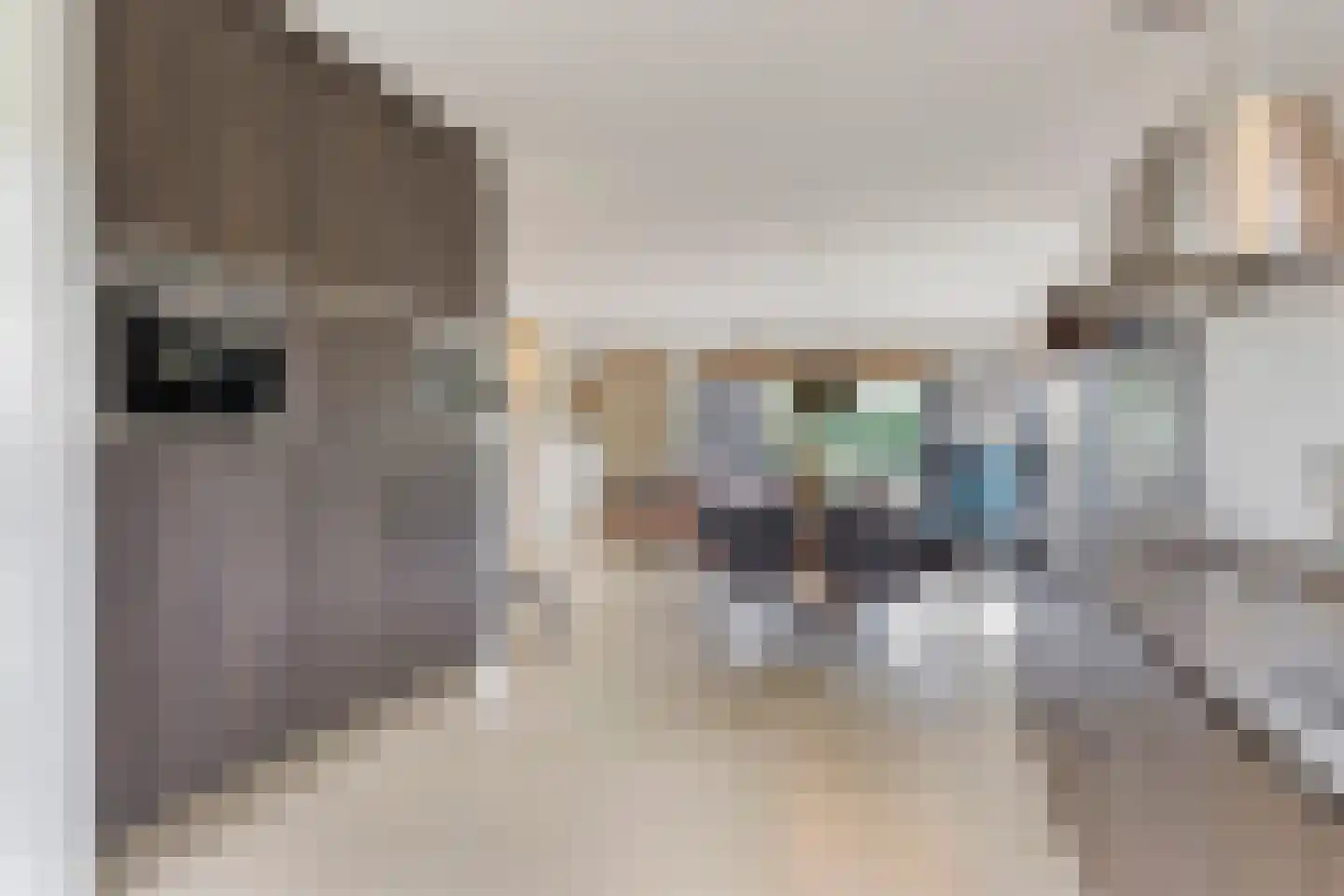 Willem van de Laarhof 13 Nuenen thumbnail 12
