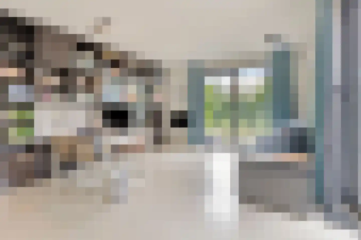 Willem van de Laarhof 13 Nuenen thumbnail 14