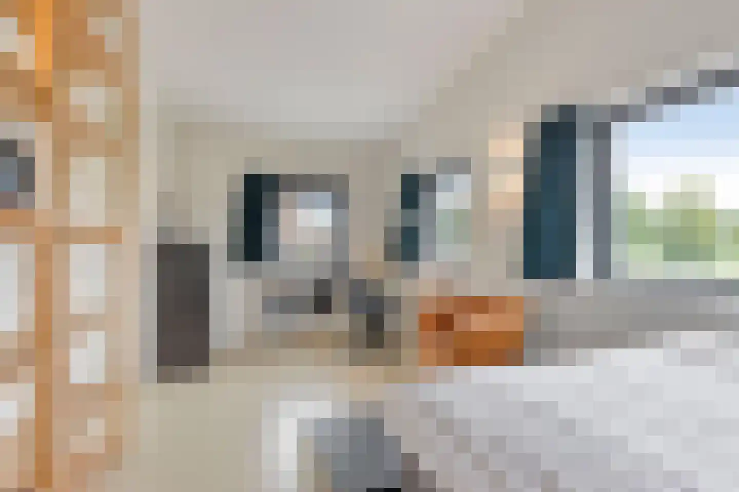 Willem van de Laarhof 13 Nuenen thumbnail 25