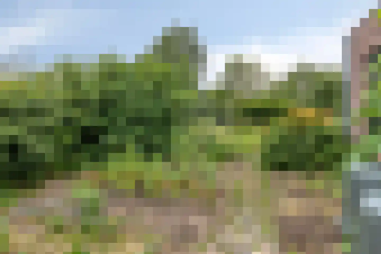 Willem van de Laarhof 13 Nuenen thumbnail 34