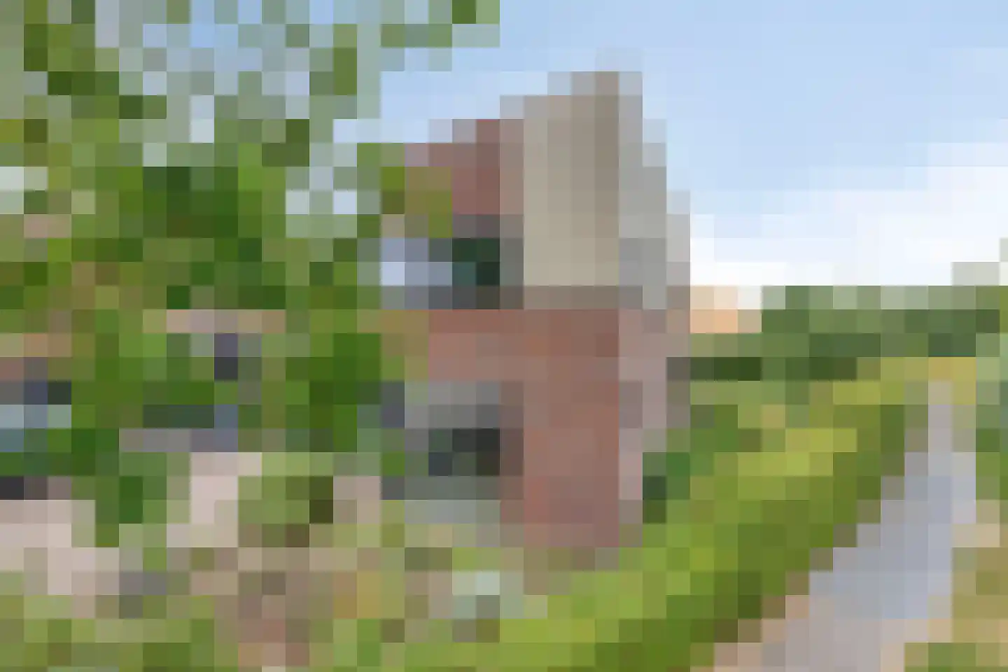 Willem van de Laarhof 13 Nuenen thumbnail 39