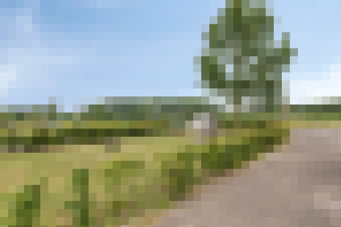 Willem van de Laarhof 13 Nuenen thumbnail 41