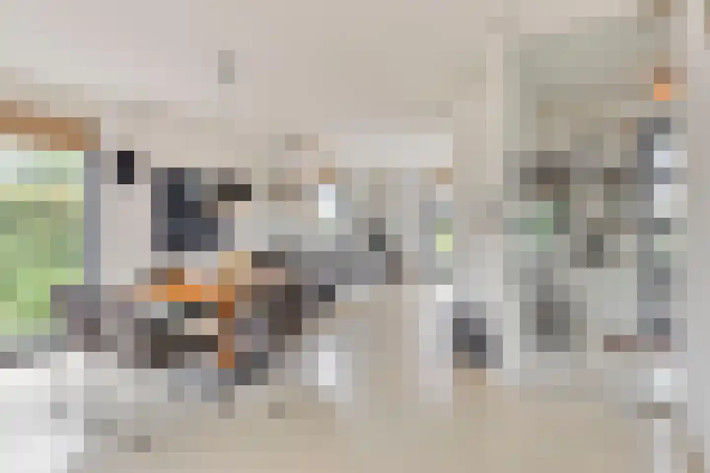 Willem van de Laarhof 13 Nuenen thumbnail 9