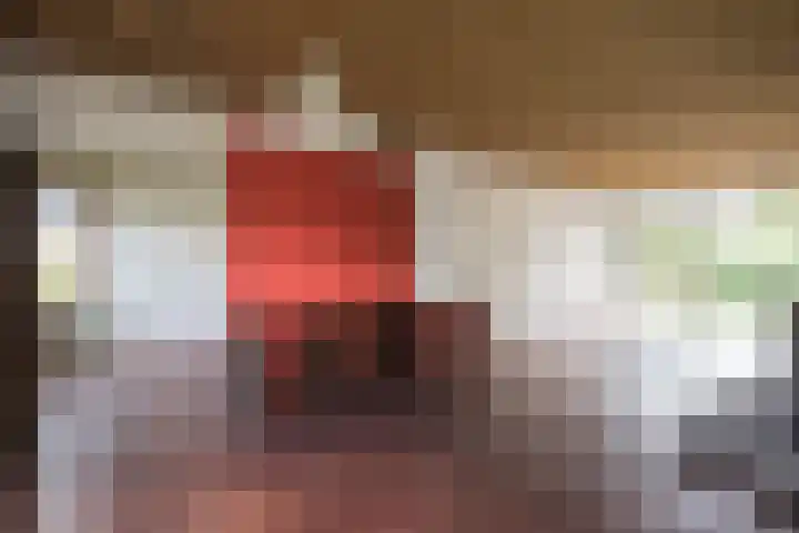Willem van de Veldekade 6 Heemstede thumbnail 12