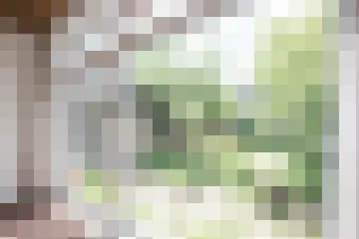 Willem van de Veldekade 6 Heemstede thumbnail 15
