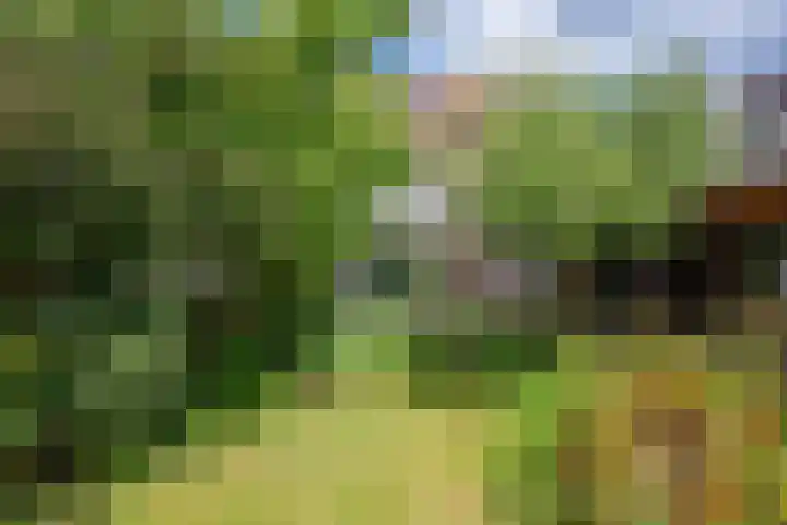 Willem van de Veldekade 6 Heemstede thumbnail 16