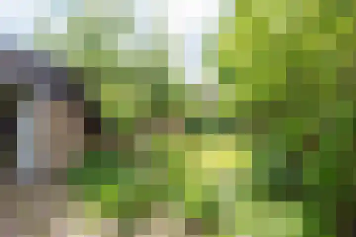 Willem van de Veldekade 6 Heemstede thumbnail 17
