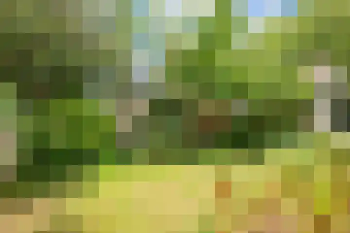 Willem van de Veldekade 6 Heemstede thumbnail 19