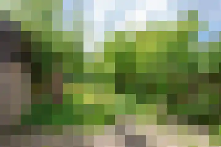 Willem van de Veldekade 6 Heemstede thumbnail 20