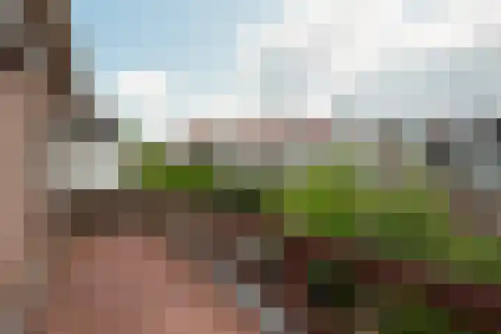 Willem van de Veldekade 6 Heemstede thumbnail 27