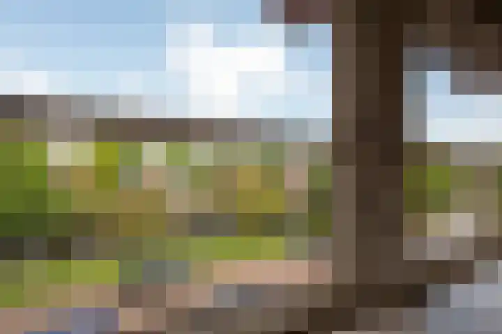 Willem van de Veldekade 6 Heemstede thumbnail 30