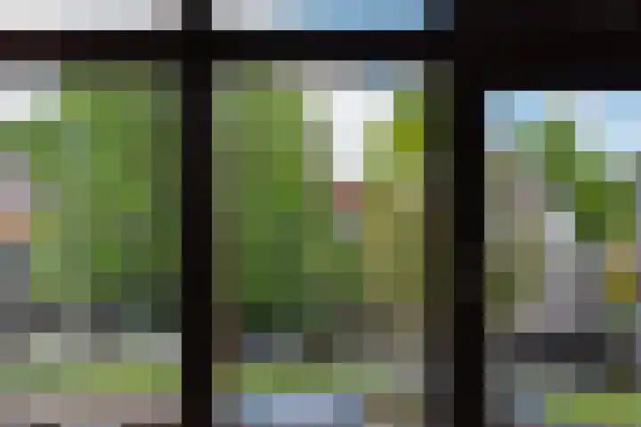 Willem van de Veldekade 6 Heemstede thumbnail 32