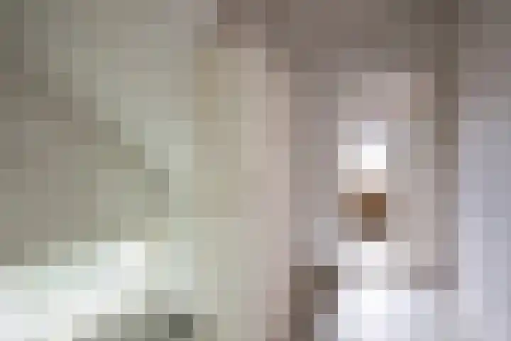 Willem van de Veldekade 6 Heemstede thumbnail 33