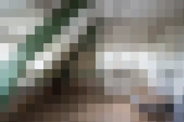 Willem van de Veldekade 6 Heemstede thumbnail 41