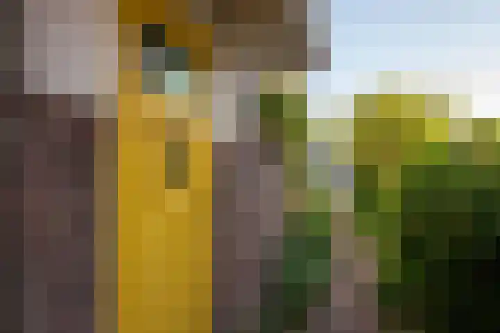 Willem van de Veldekade 6 Heemstede thumbnail 5