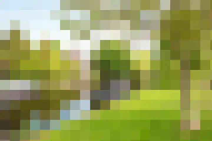 Willem van de Veldekade 6 Heemstede thumbnail 50