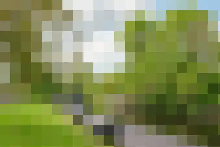 Willem van de Veldekade 6 Heemstede thumbnail 51