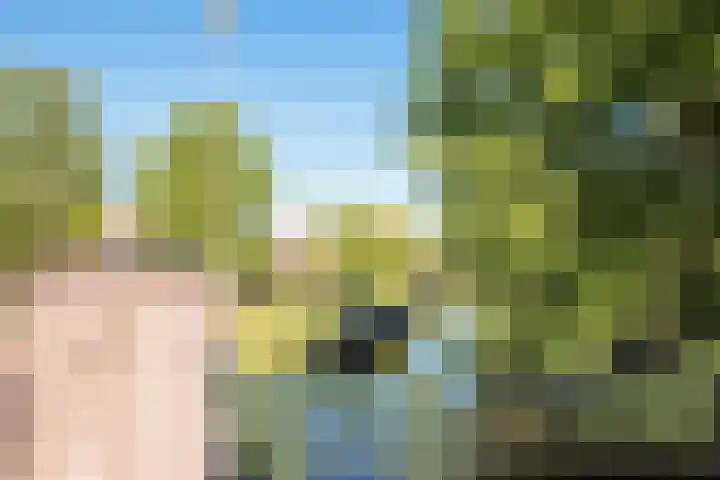Willem van de Veldekade 6 Heemstede thumbnail 52