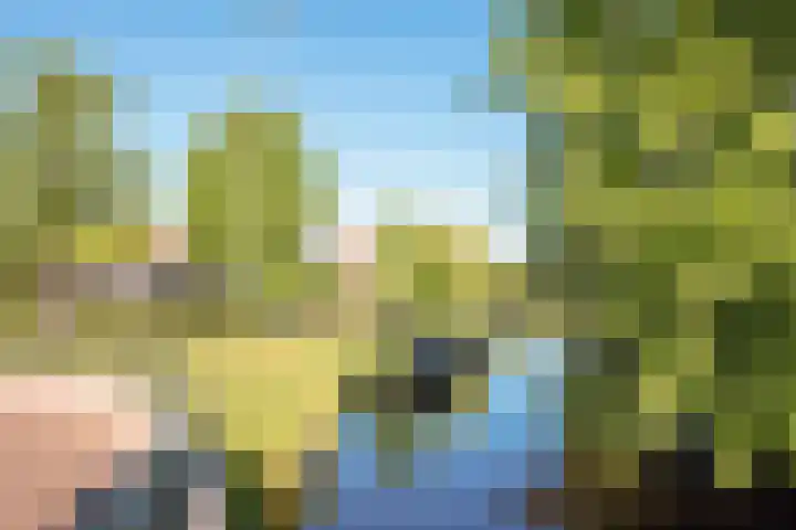 Willem van de Veldekade 6 Heemstede thumbnail 53