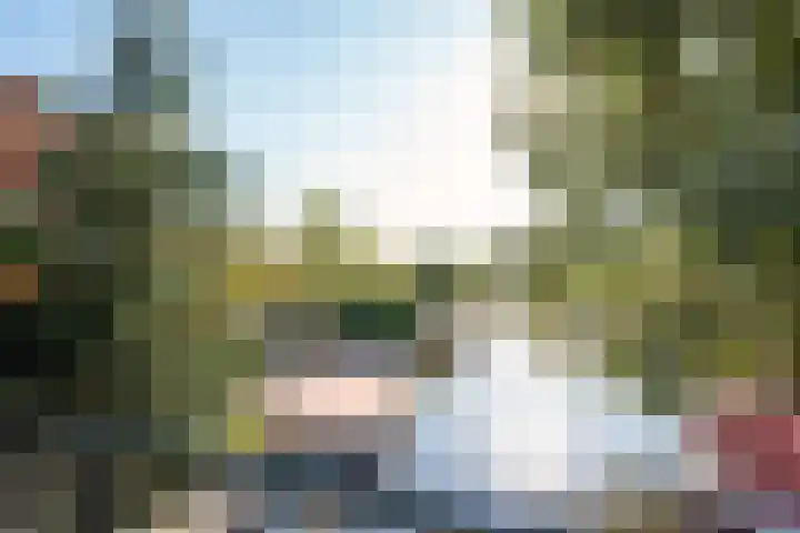 Willem van de Veldekade 6 Heemstede thumbnail 54