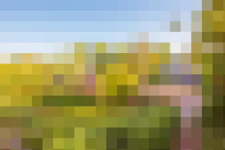 Willem van de Veldekade 6 Heemstede thumbnail 6