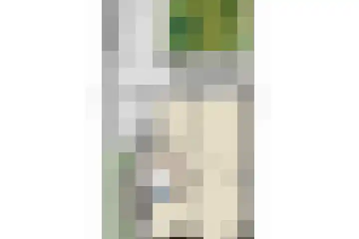 Willem van de Veldekade 6 Heemstede thumbnail 60
