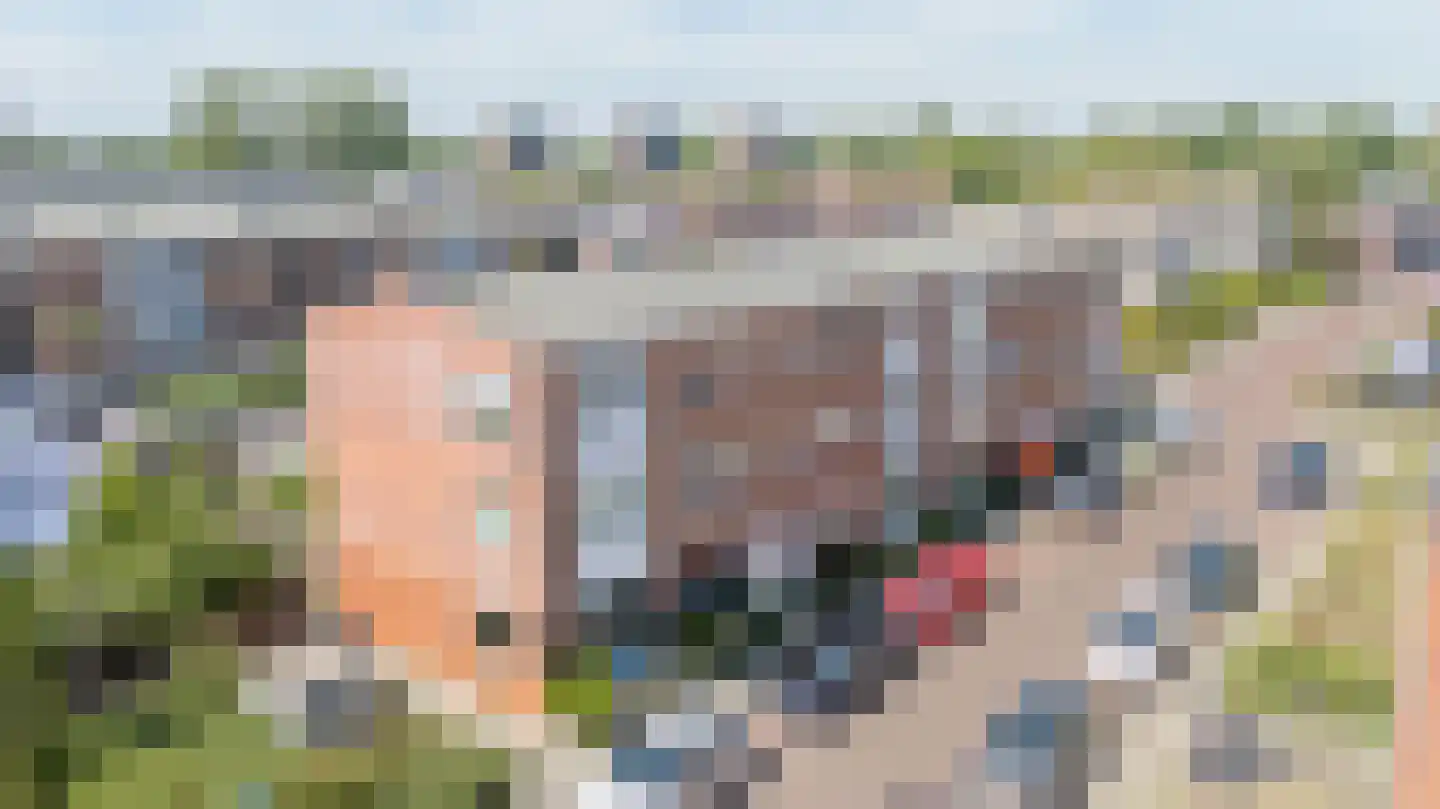Willem van de Veldelaan 1 Vlissingen foto 2