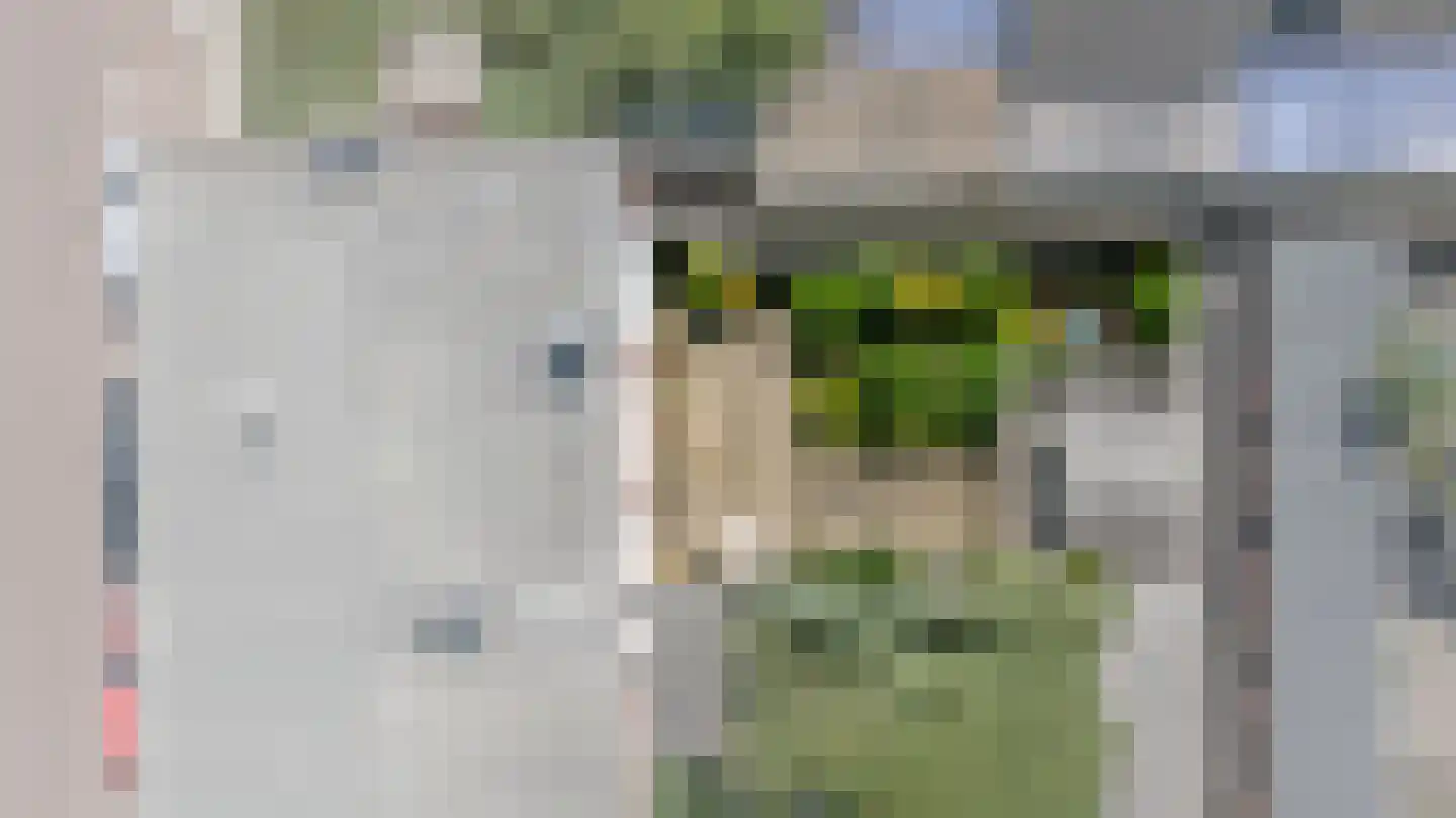 Willem van de Veldelaan 1 Vlissingen thumbnail 29