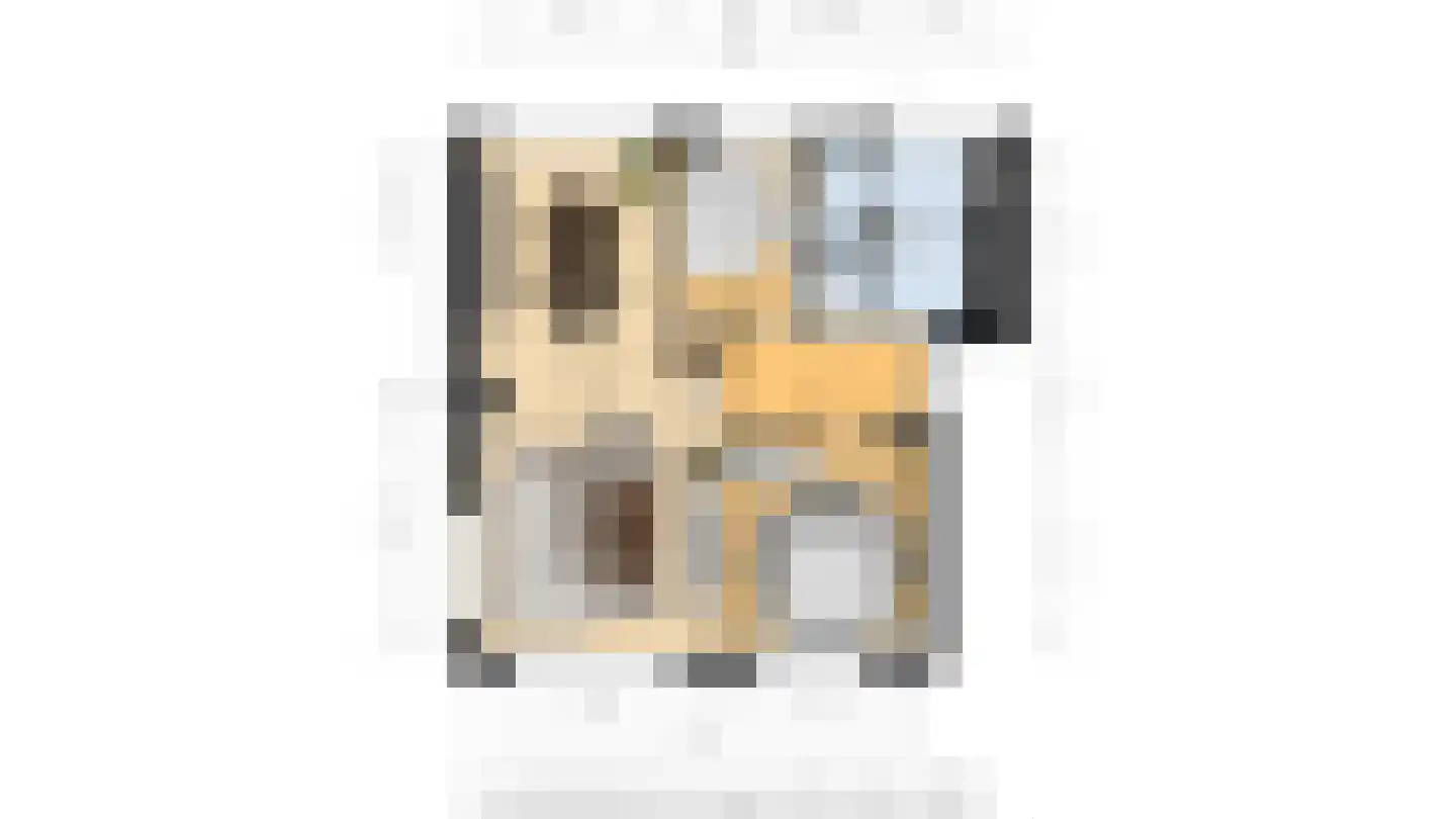 Willem van de Veldelaan 1 Vlissingen thumbnail 31
