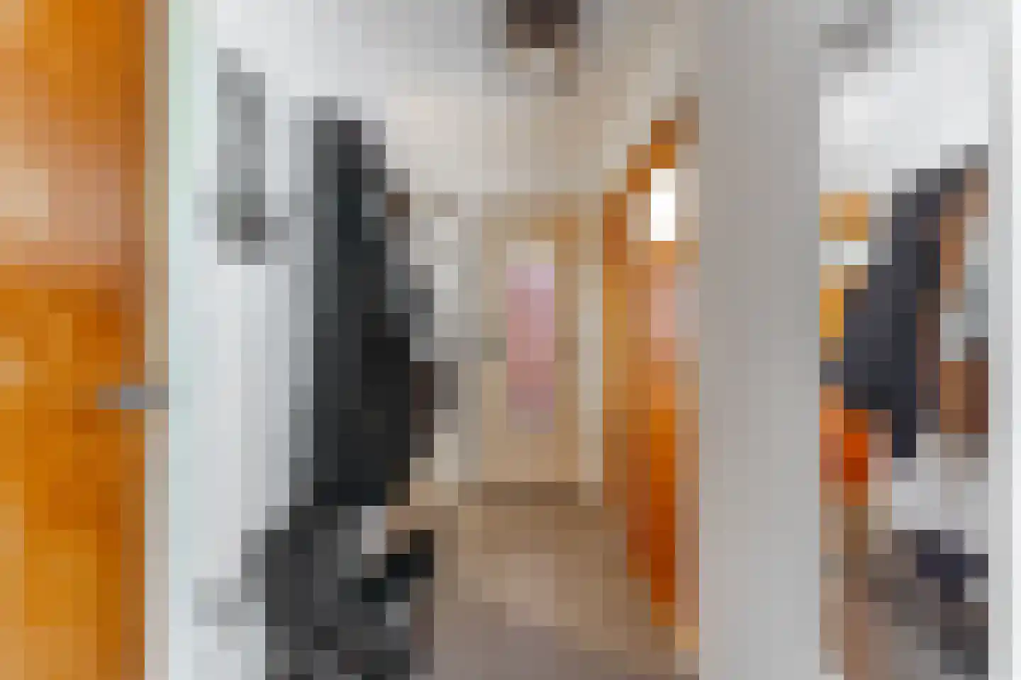 Willem van de Veldelaan 15 Vlissingen thumbnail 5